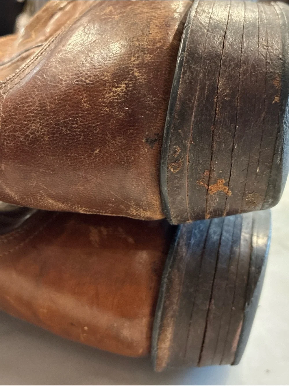 Lucchese 1883 crayton